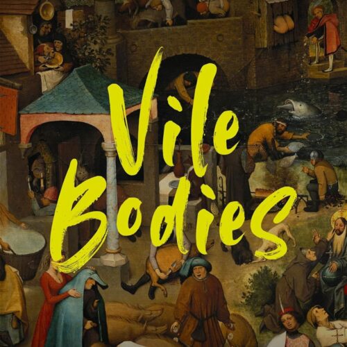 Book cover for Vile Bodies by Adrian Thatcher